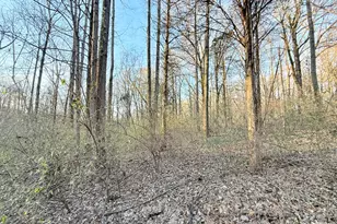 215 Tucker Hill Rd, Cave In Rock, IL 62919 - Photo 6