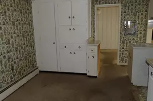 107 Charles St, Rosiclare, IL 62982 - Photo 6