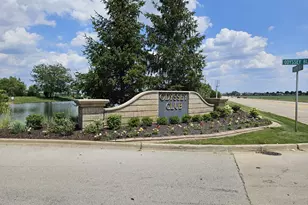 46 Olympus Dr, Tinley Park, IL 60477 - Photo 34