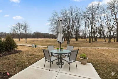 44 Olympus Drive, Tinley Park, IL 60477 - Photo 36