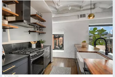 1161 W Madison Street #4S, Chicago, IL 60607 - Photo 8