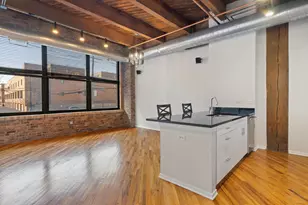 1040 W Adams St, Chicago, IL 60607 - Photo 4