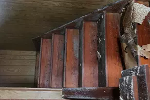 3055 N 2300 East Rd, Martinton, IL 60951 - Photo 10