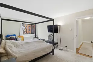 1169 S Plymouth Ct, Chicago, IL 60605 - Photo 12