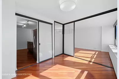 222 E Pearson Street #1406, Chicago, IL 60611 - Photo 12