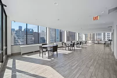 222 E Pearson Street #1406, Chicago, IL 60611 - Photo 24