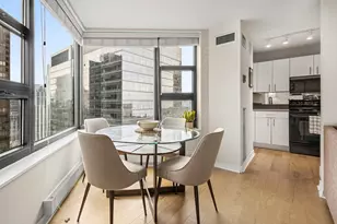 401 E Ontario St, Chicago, IL 60611 - Photo 10