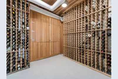 1454 N Dearborn Street, Chicago, IL 60610 - Photo 56