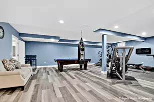 701 Caitlin Ct, Grayslake, IL 60030 - Photo 38