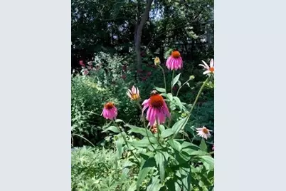 2487 Bridle Circle, Round Lake Beach, IL 60073 - Photo 30