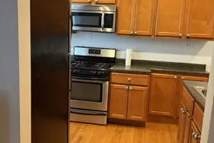 3251 W Olive St, Chicago, IL 60659 - Photo 8