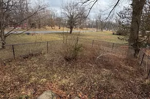 418 W Harrison St, Carrier Mills, IL 62917 - Photo 10