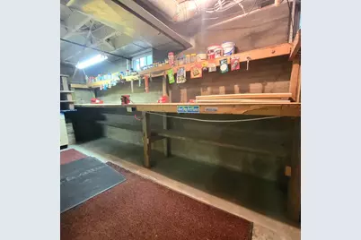 506 N 1st Street, Ashton, IL 61006 - Photo 56