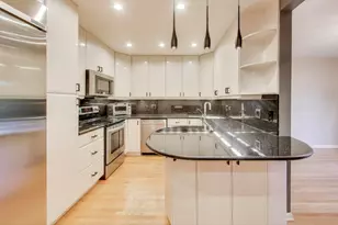 300 Boardwalk Pl, Park Ridge, IL 60068 - Photo 10