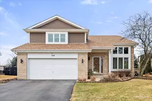 724 Small Ct, Naperville, IL 60563 - Photo 1