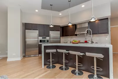 650 N Morgan Street #202, Chicago, IL 60642 - Photo 10