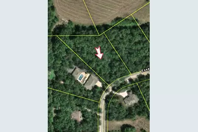 161 Essex Way, Essex, IL 60935 - Photo 1