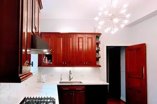 1210 N Astor St, Chicago, IL 60610 - Photo 14