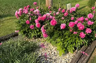 28007 Brickville Rd, Sycamore, IL 60178 - Photo 34