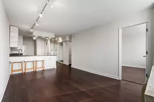 1455 N Sandburg Terrace, Chicago, IL 60610 - Photo 4