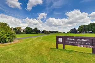 1007 Hollingswood Ct, Naperville, IL 60564 - Photo 50