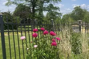 13210 S 85th Ave, Palos Park, IL 60464 - Photo 28