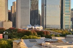 310 S Michigan Ave, Chicago, IL 60604 - Photo 8