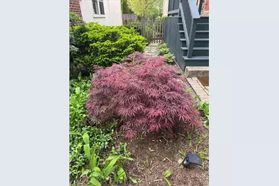 1351 Scott Avenue, Winnetka, IL 60093 - Photo 40