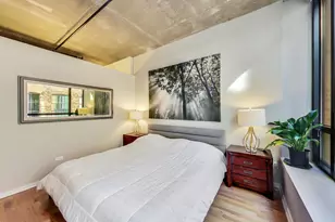 520 S State St, Chicago, IL 60605 - Photo 16