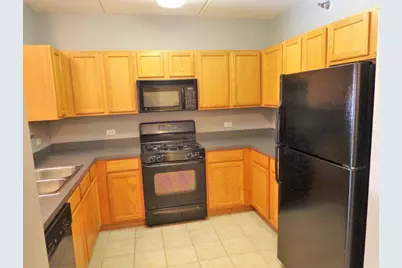 410 W Mahogany Court #407, Palatine, IL 60067 - Photo 2