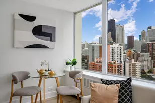 1355 N Sandburg Terrace, Chicago, IL 60610 - Photo 10