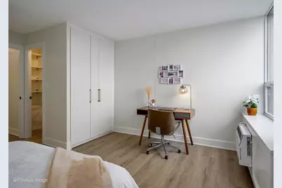 1355 N Sandburg Terrace #2201D, Chicago, IL 60610 - Photo 20