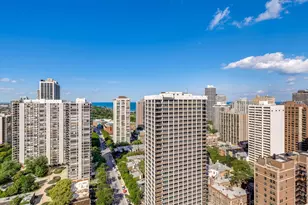 1355 N Sandburg Terrace, Chicago, IL 60610 - Photo 30