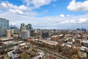 1355 N Sandburg Terrace, Chicago, IL 60610 - Photo 14