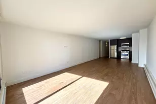 420 W Belmont Ave, Chicago, IL 60657 - Photo 8