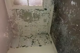 6606 S Carpenter St, Chicago, IL 60621 - Photo 10