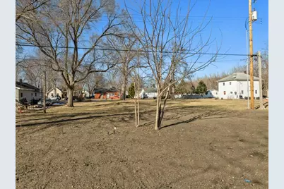 313 E Martin Street, Forrest, IL 61741 - Photo 22
