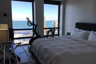 1660 N Lasalle Dr, Chicago, IL 60614 - Photo 14