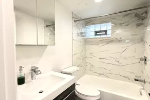 6356 W Giddings St, Chicago, IL 60630 - Photo 48