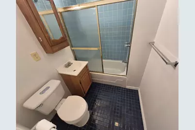 2046 W 19th Street #2, Chicago, IL 60608 - Photo 8