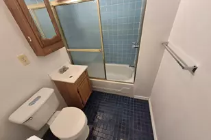 2046 W 19th St, Chicago, IL 60608 - Photo 8