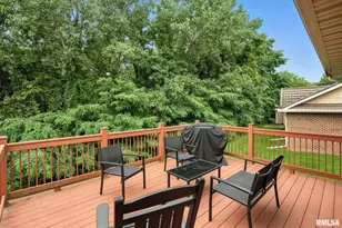 1013 2nd St Ct, Moline, IL 61265 - Photo 16
