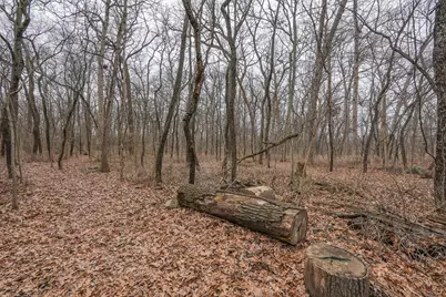 2821 Shadow Road, Momence, IL 60954 - Photo 34