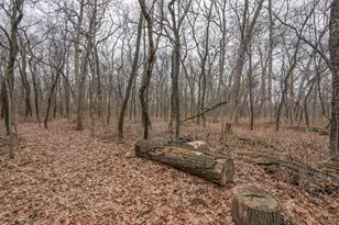 2821 Shadow Rd, Momence, IL 60954 - Photo 34