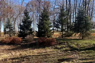 2701 E County Township Rd 121, Sheldon, IL 60966 - Photo 22