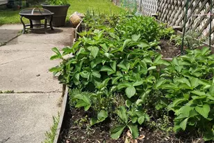 4122 N Kolmar Ave, Chicago, IL 60641 - Photo 18