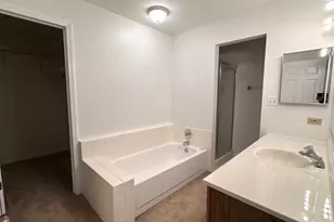 58 S Stonington Dr, Palatine, IL 60074 - Photo 4