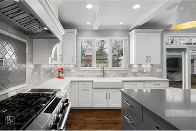 219 N Clinton Avenue, Elmhurst, IL 60126 - Photo 20