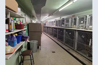 337 W Maple Street, New Lenox, IL 60451 - Photo 10