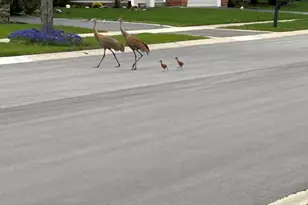 12597 Oak Grove Dr, Huntley, IL 60142 - Photo 24